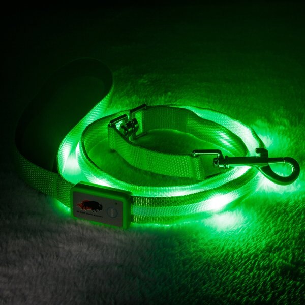 Blazin' Safety LED Dog Leash