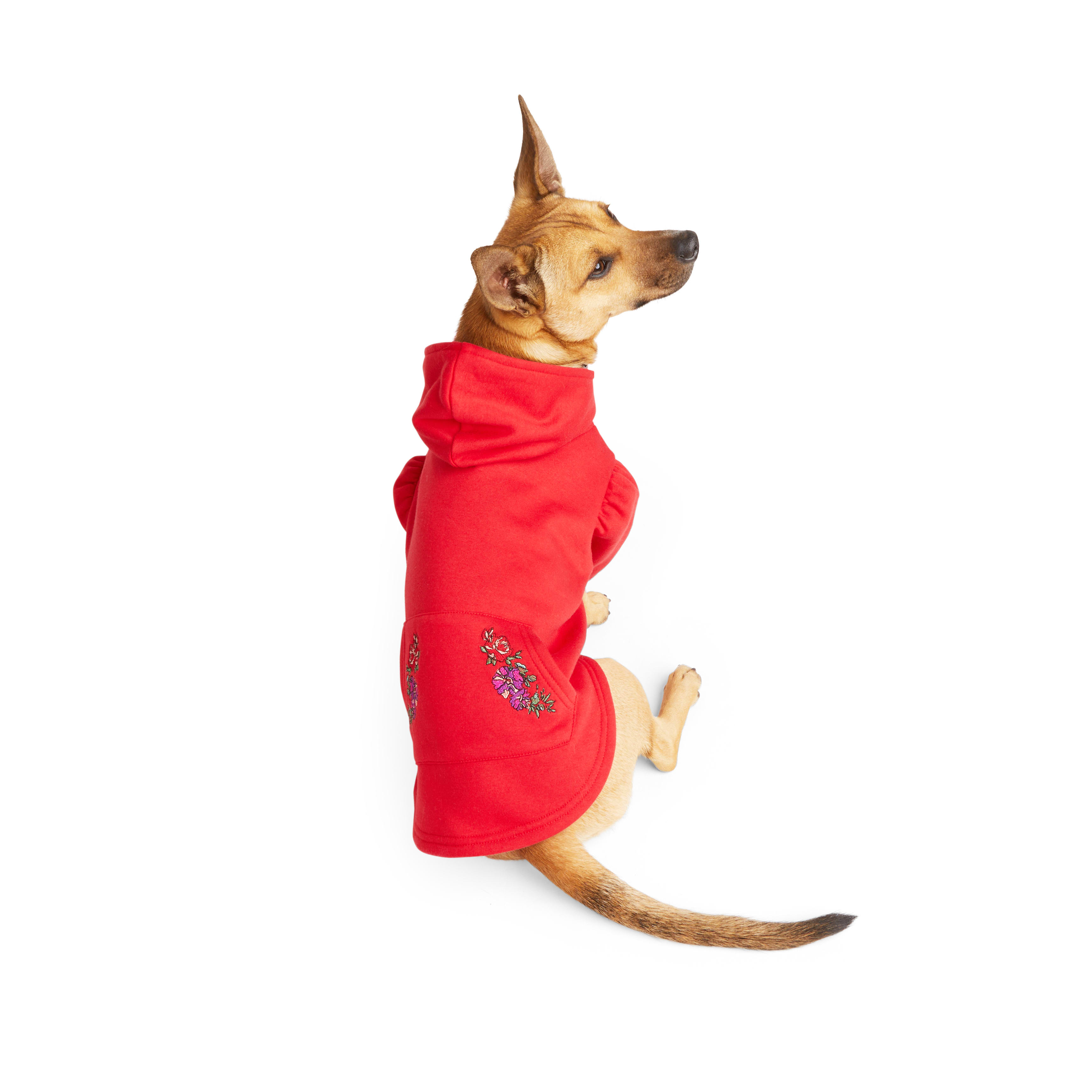 YOULY Rose Dog Hoodie， XX-Small