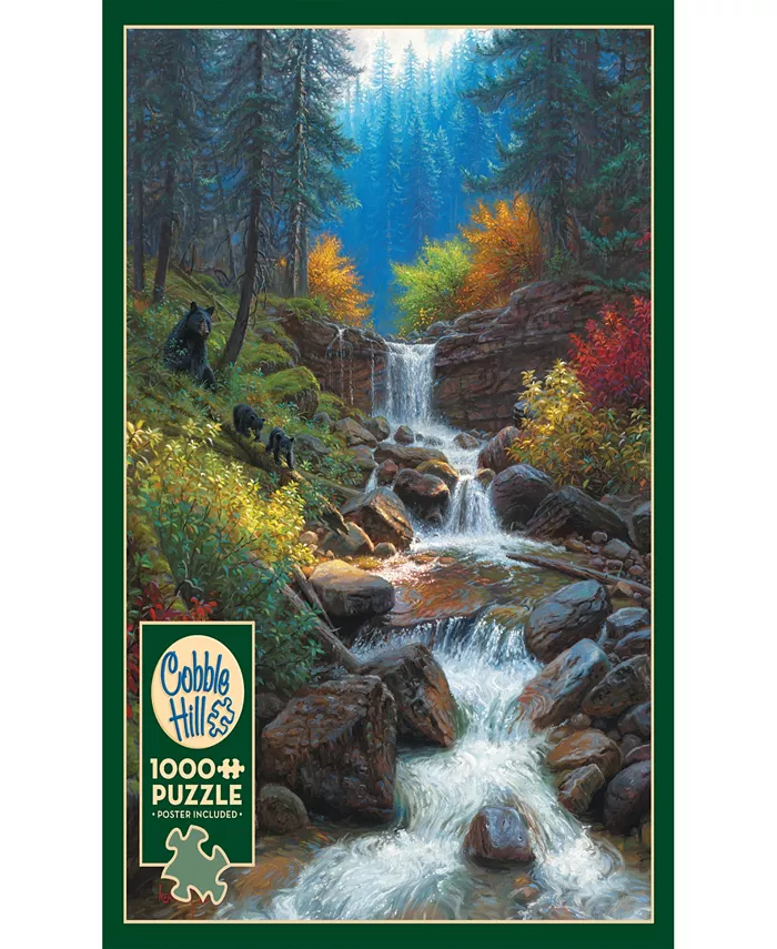 Cobble Hill Mountain Cascade Puzzle