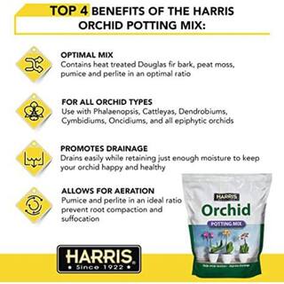 Harris 8 Qt. Premium Horticultural Vermiculite for Indoor Plants and 4 Qt. Premium Orchid Potting Mix VERM-ORCHID