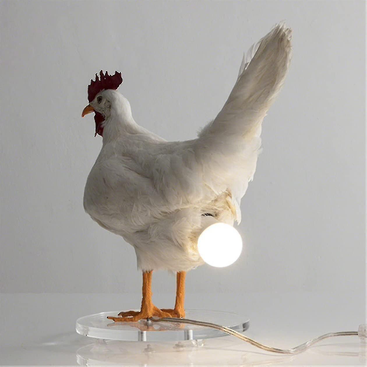 Chicken Led Lamp Egg Night Lamp Taxidermy Egg Desk Lamp Egg Bulb Lights