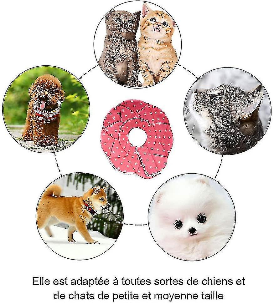 Comfortable Post-surgery Collar For Cats And Dogs， Robust， Waterproof， Resistant To Scratches And Bites， Easy To Clean， With Adjustable Clip