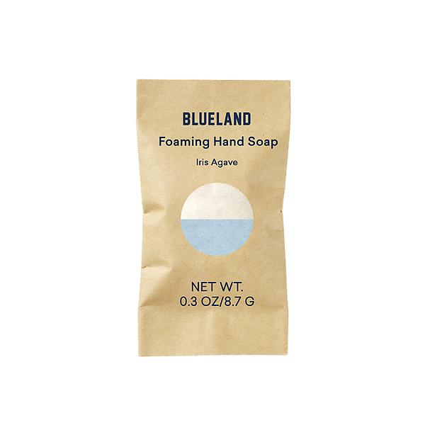 Blueland Foaming Hand Soap Refill Tablet