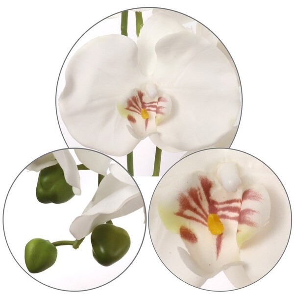 2Pack White Phalaenopsis Orchid Stem with 9 Flowers by Floral Home