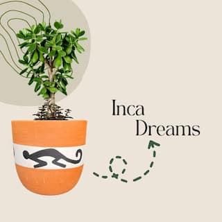 Clay planter Inca Dreams Large Black 725036M