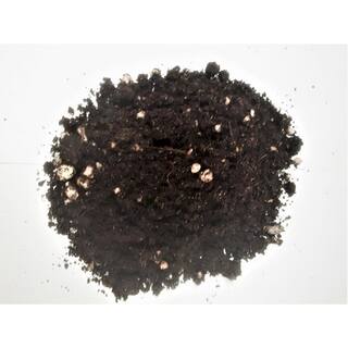 Soil Blend Premium Planting Soil Mix Special Blend with Perlite Worm Castings Coconut Coir and Endo and Ecto Mycorrhizae SBPS10MYCO
