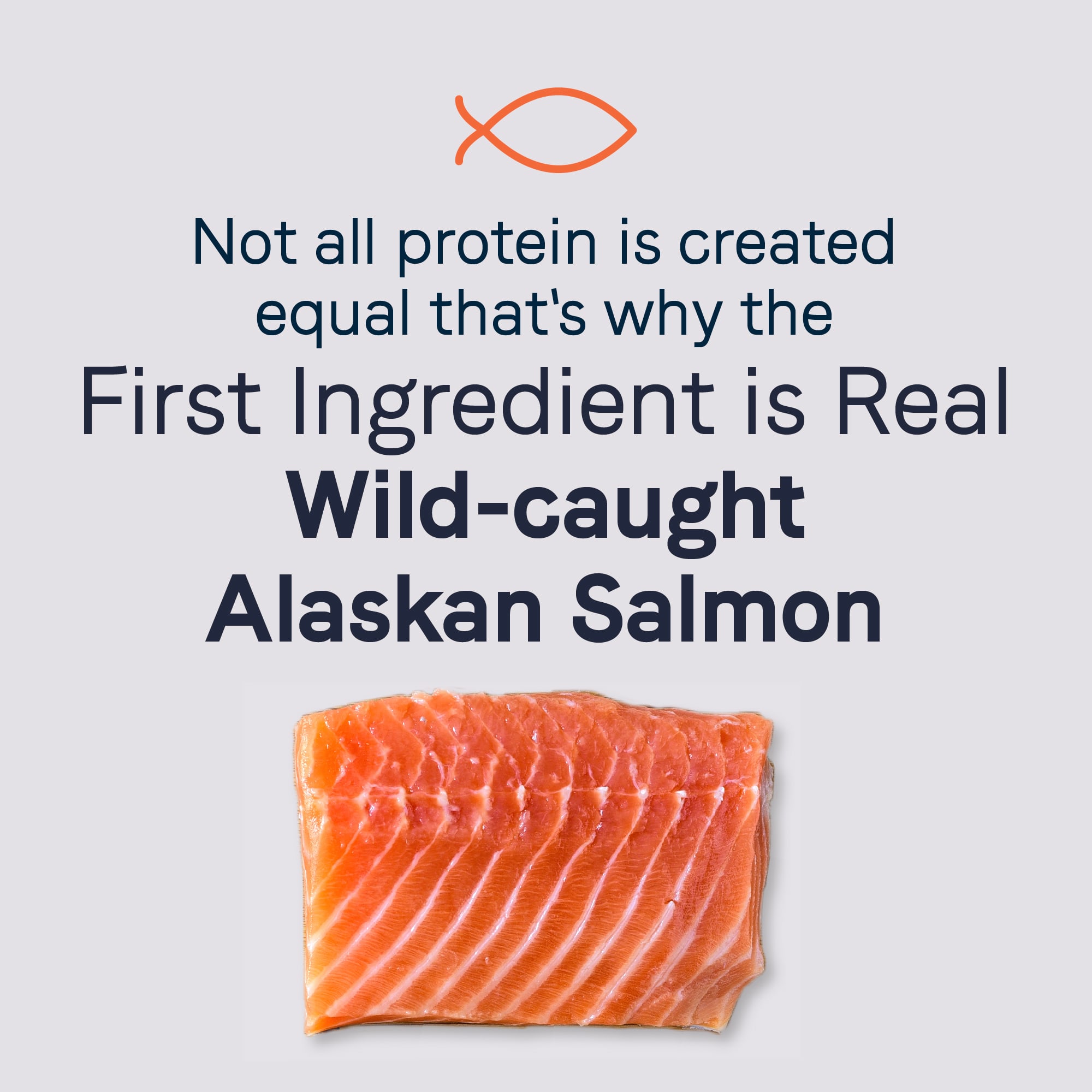 Canidae Sustain Premium Recipe with Wild-Caught Alaskan Salmon Adult Dry Dog Food， 18 lbs.