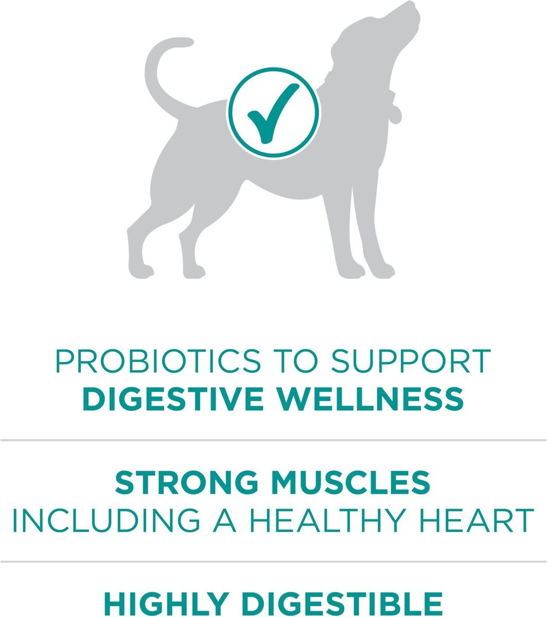 Purina ONE +Plus Adult Digestive Health Formula Dry Dog Food