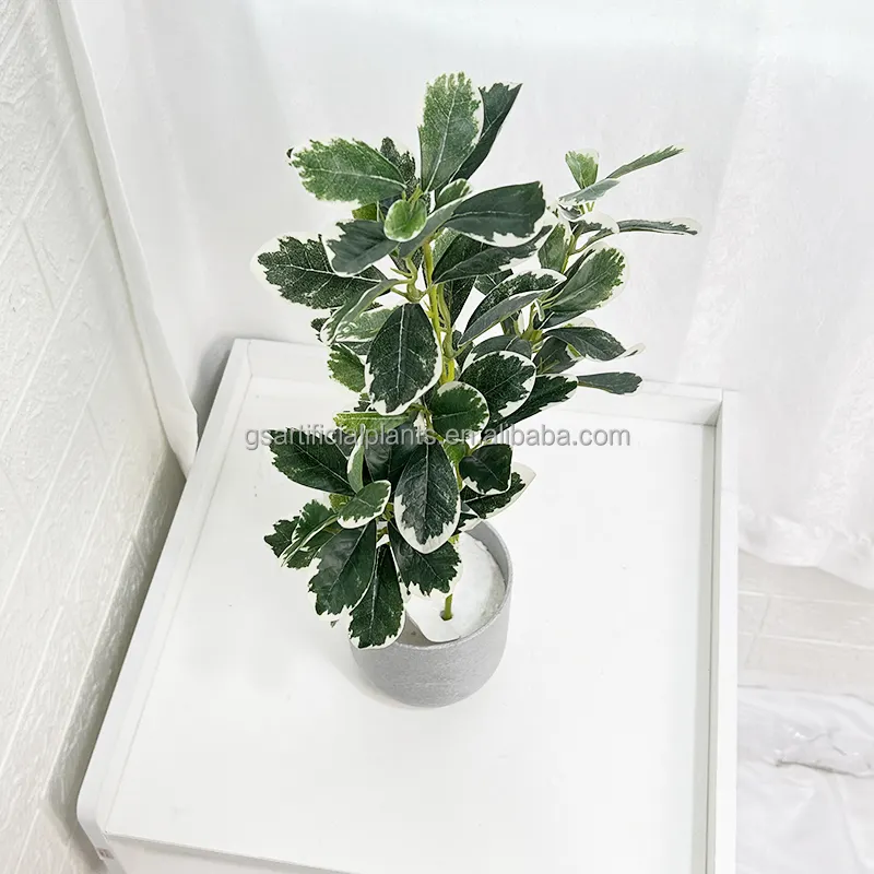 48cm height Japanese Polyscias guilfoylei Artificial Tree Leaves single pole stem artificial plant for indoor decor