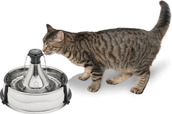 PetSafe Drinkwell 360 Stainless Steel Cat and Dog Water Fountain， 128-oz