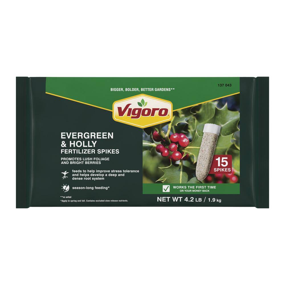 Vigoro 4.2 lb. Evergreen and Holly Fertilizer Spikes 15 Spikes 253208