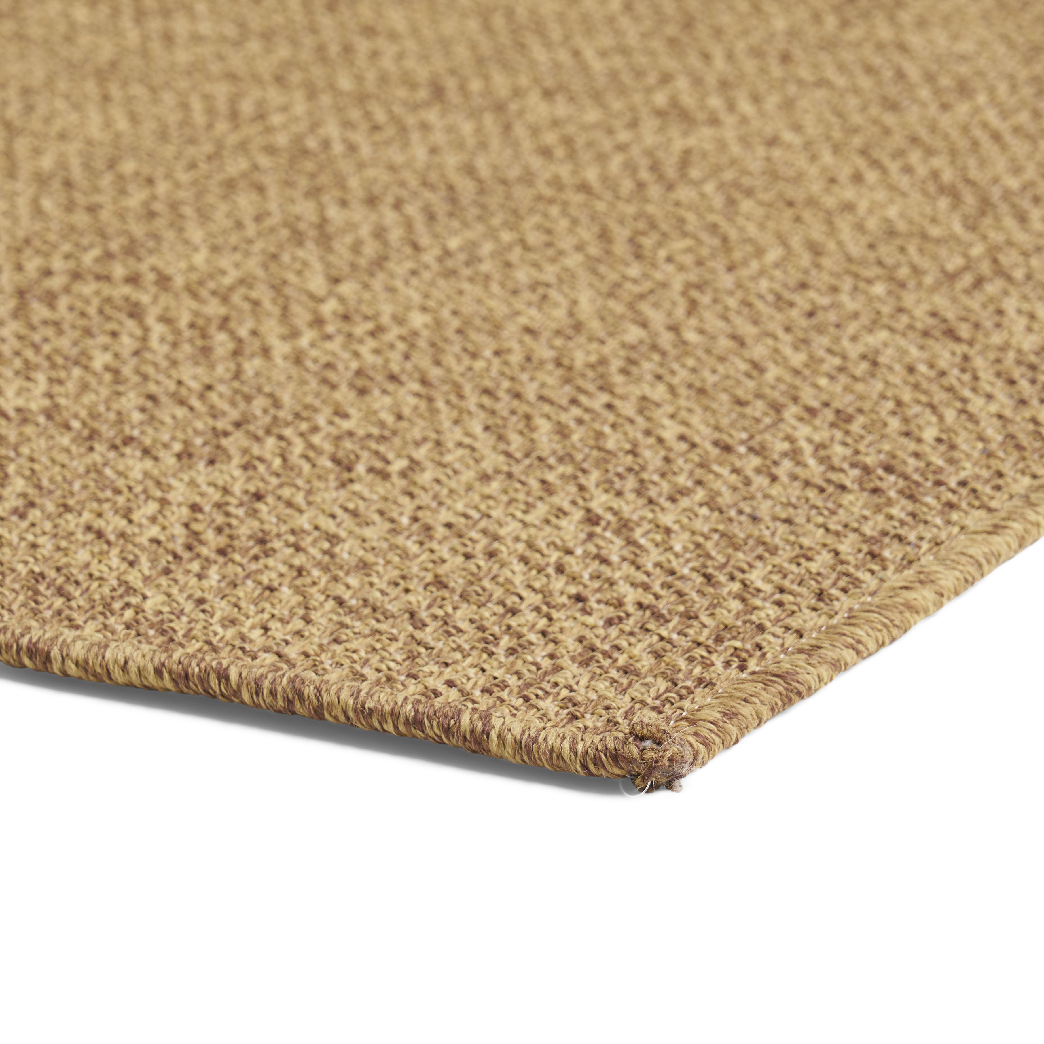 Currie Indoor/Outdoor Area Rug