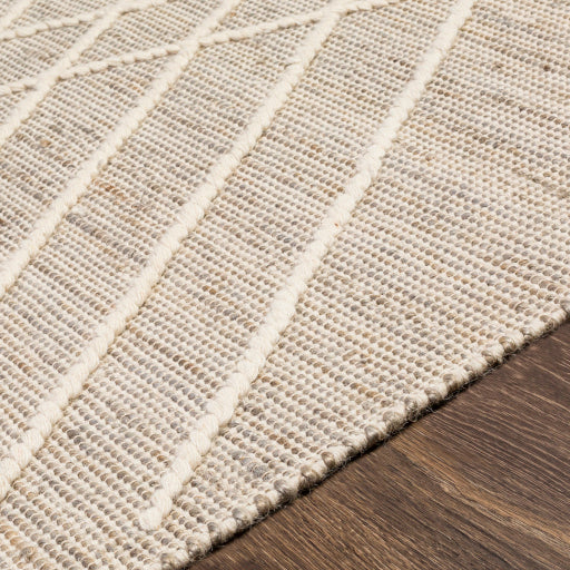 Norwood Solid Jute Grey Rug