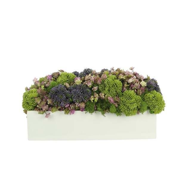 Sedum and Thistle Arranged in Rectangular Planter