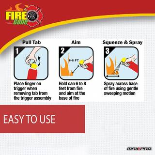 Fire Gone 16 oz. A:B:C Multiple Use Fire Extinguisher Spray Suppressant fg-007-102