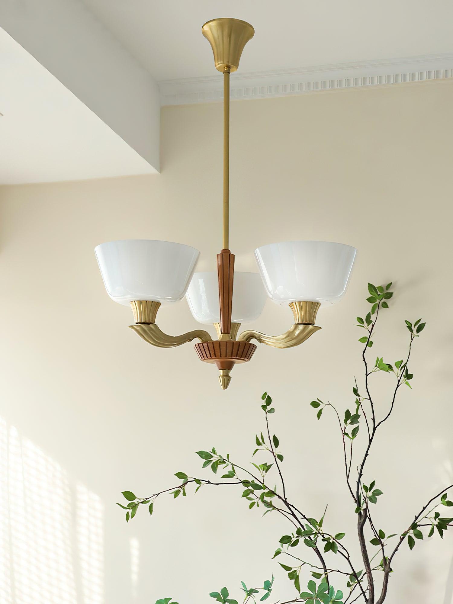 Ascher Chandelier