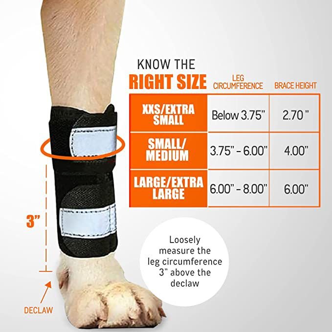 NeoAlly 3-in-1 Front Leg Dog Splint Braces