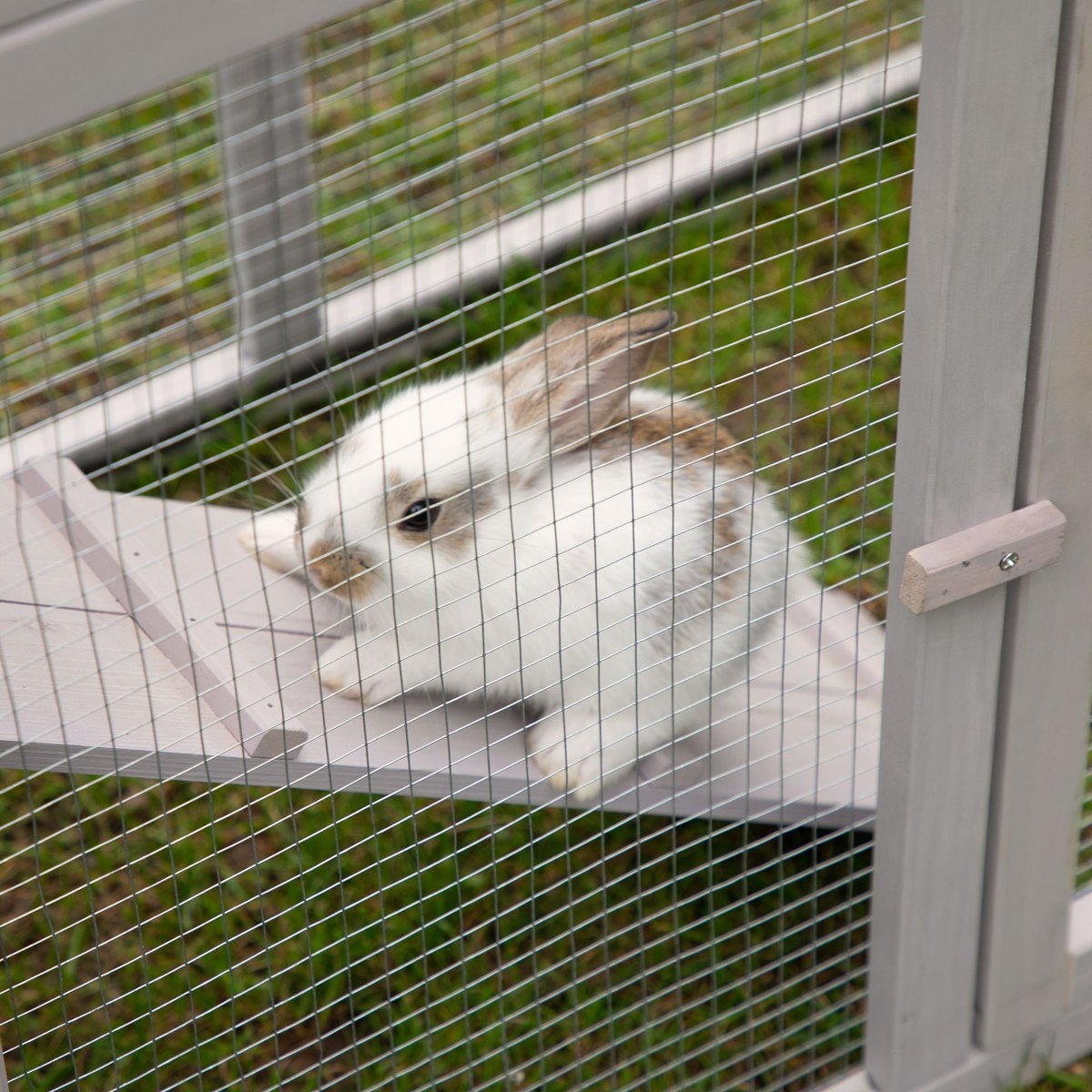 Coziwow by Jaxpety Wooden Rabbit Hutch Bunny Cage Two Story Habitats