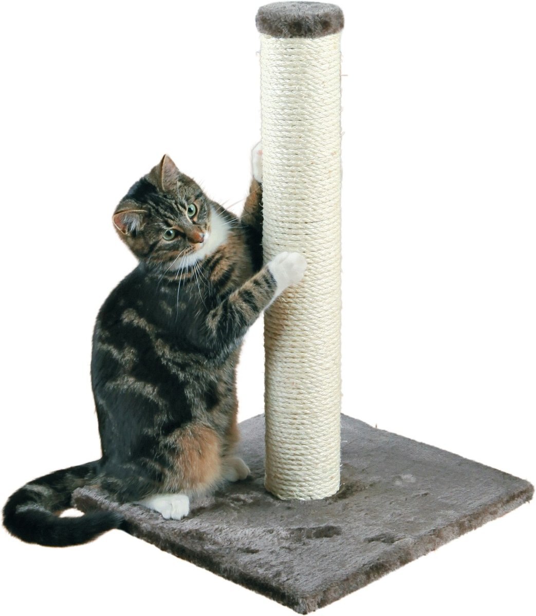 TRIXIE Parla 24.4-in Fleece Cat Scratching Post