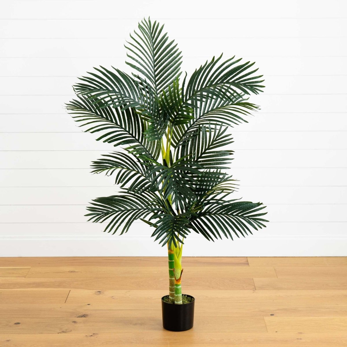 5’ Golden Cane Artificial Palm Tree - Bring Paradise Indoors