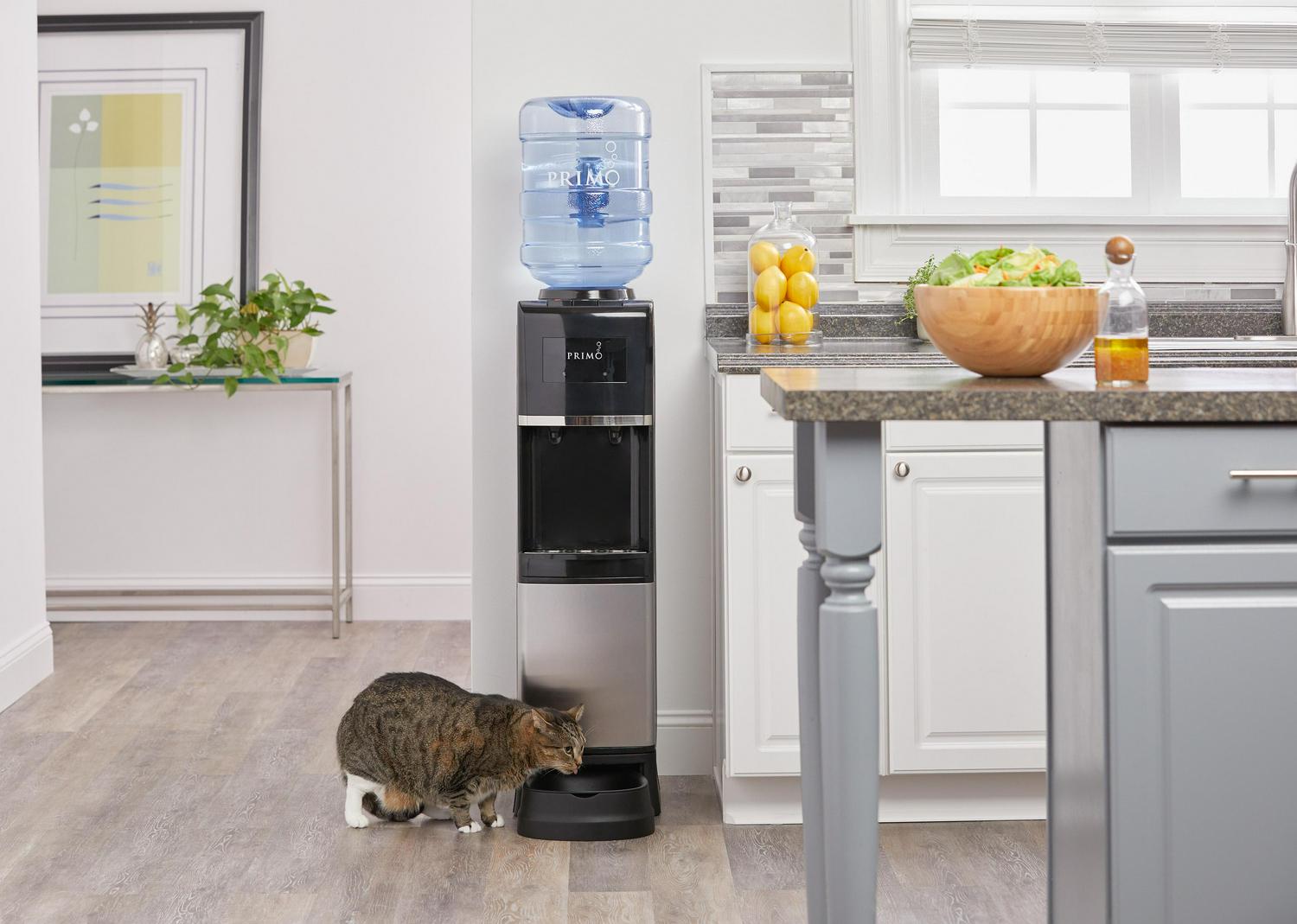 Primo Pet Station Water Dispenser Top Loading， Hot/Cold Temperature， Black and Stainless Steel