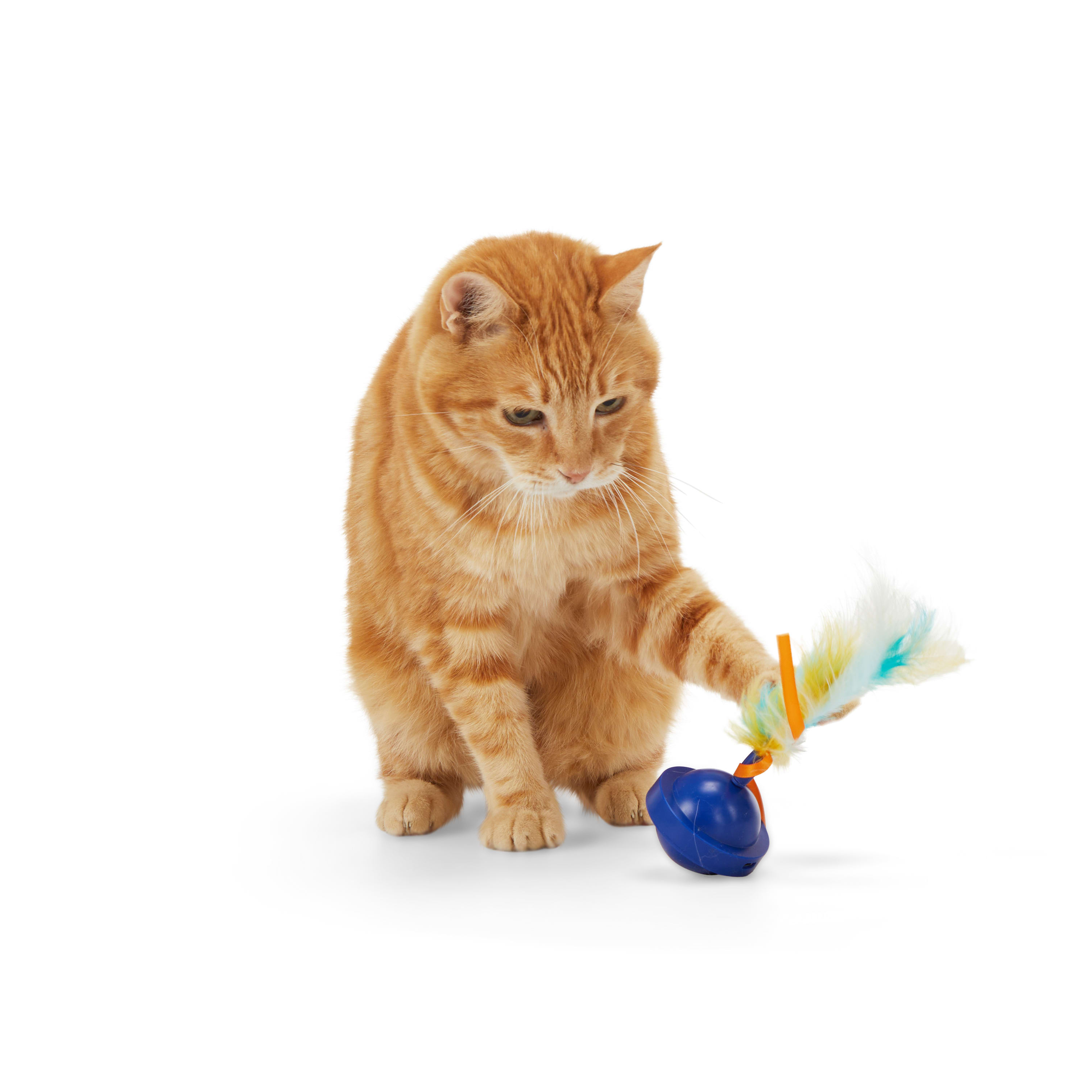 LEAPS  BOUNDS Electronic Spinning Cat Toy