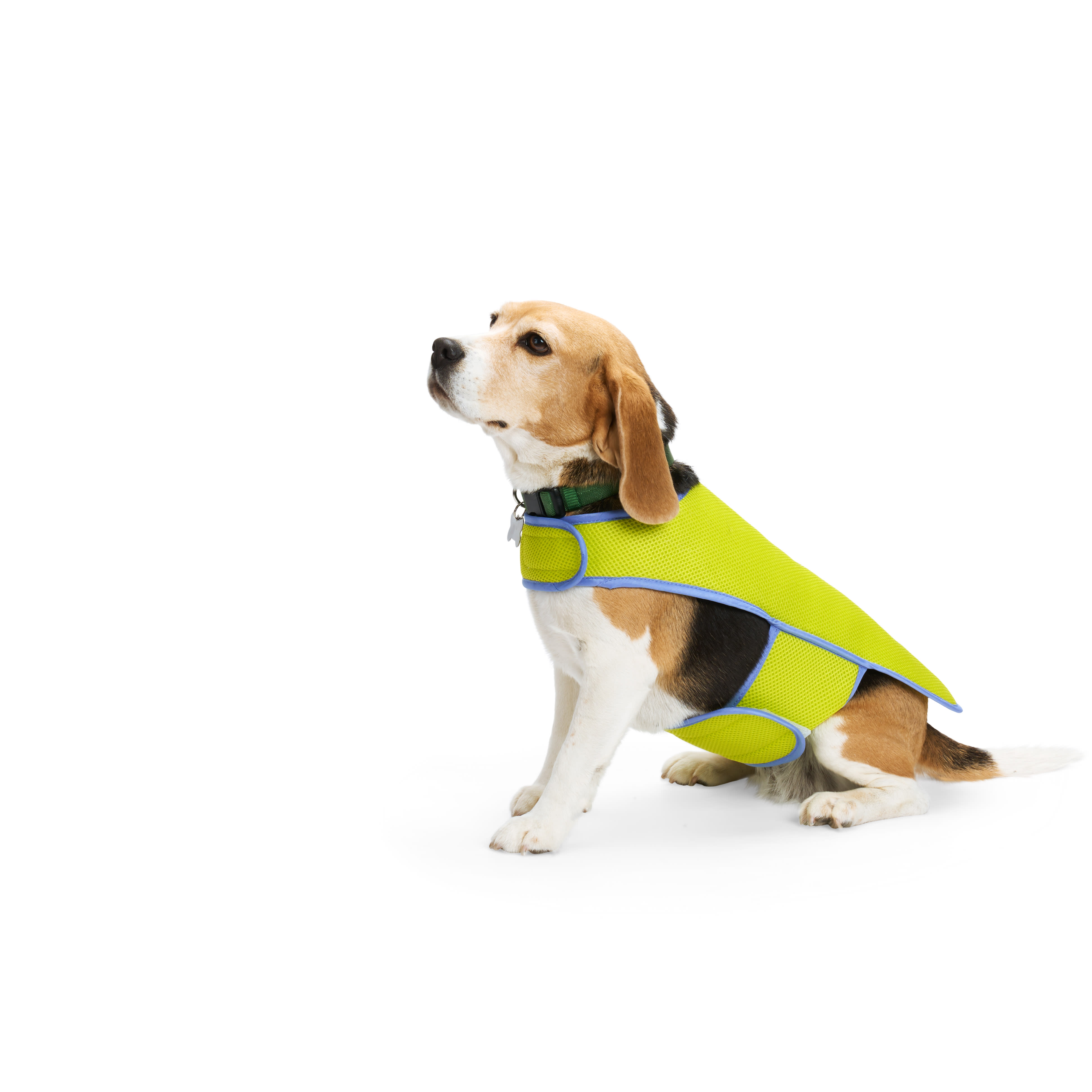 YOULY Yellow Cooling Dog Vest， X-Small