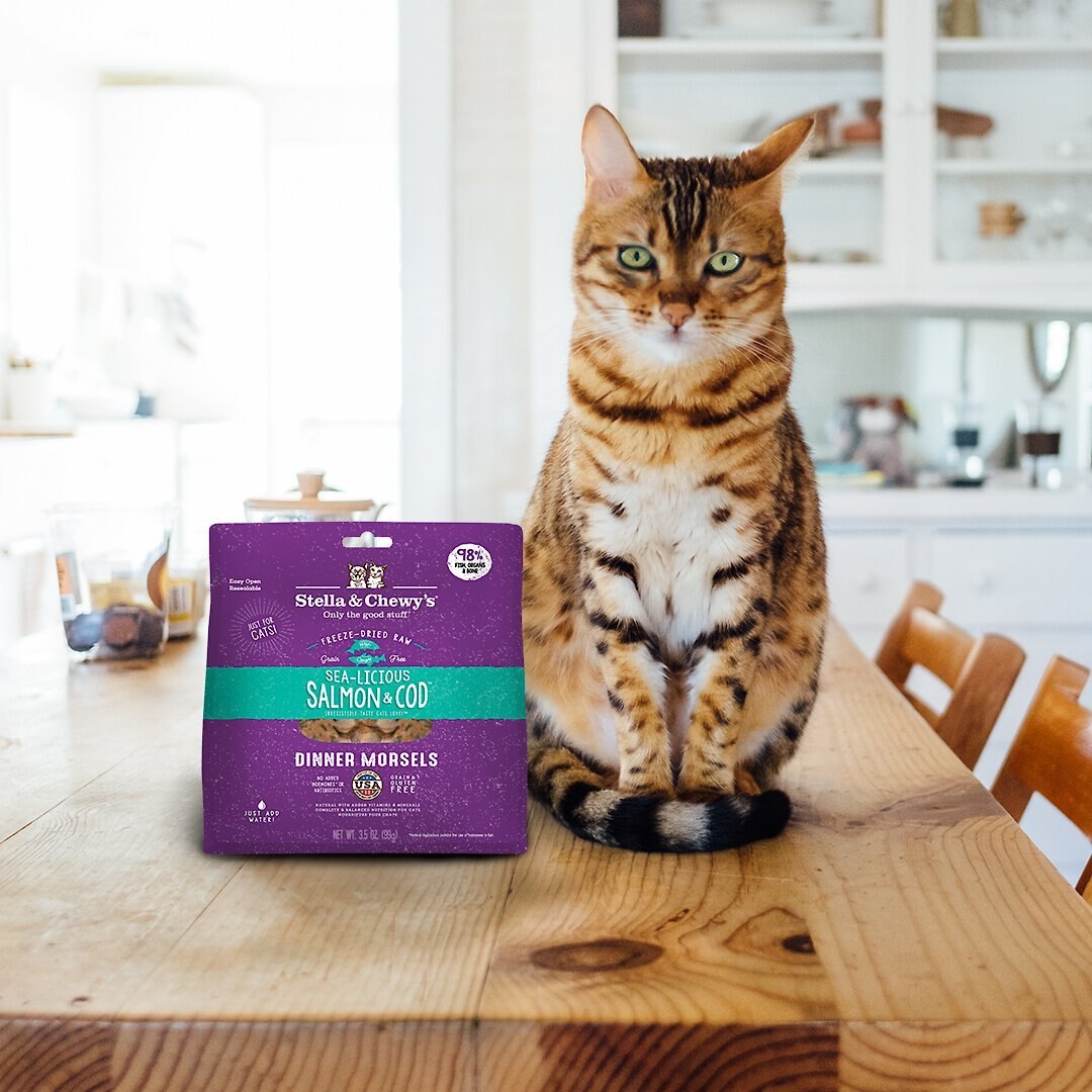 Stella and Chewy's Sea-licious Salmon and Cod Dinner Morsels Freeze-Dried Raw Cat Food