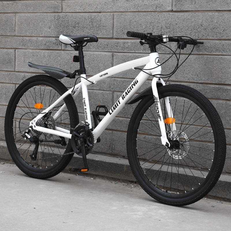 TOP sale double disc brake other folding mountain bike from vietnam supplier