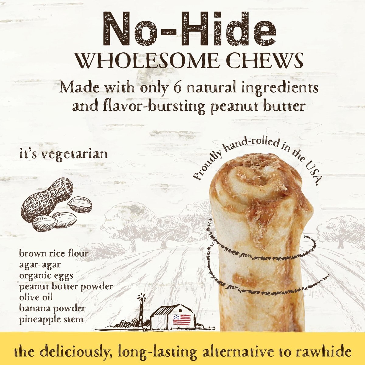 Earth Animal No-Hide Long Lasting Natural Rawhide Alternative Peanut Butter Recipe Small Chew Dog Treats， 2 count