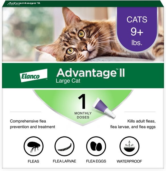 Advantage II Flea Spot Treatment for Cats， over 9 lbs