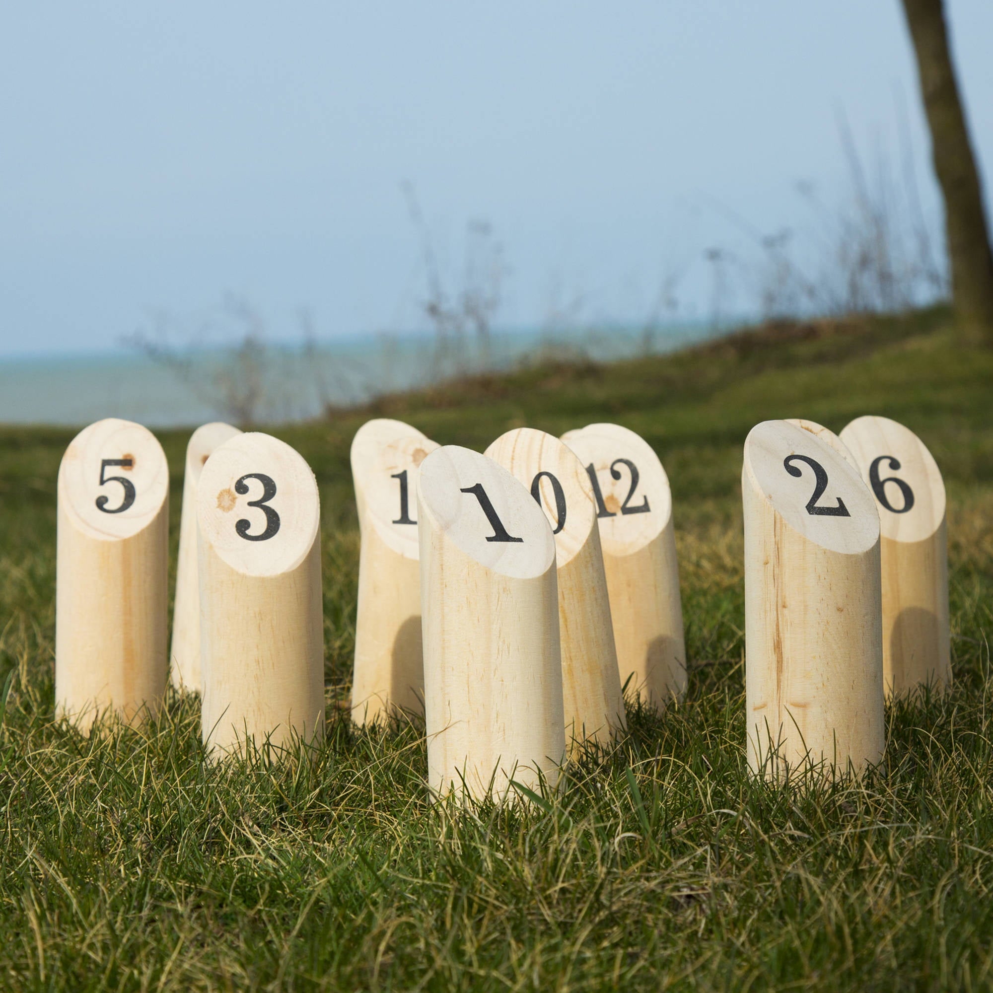 Hey Play Wooden Throwing Game for the Whole Family with Carrying Crate