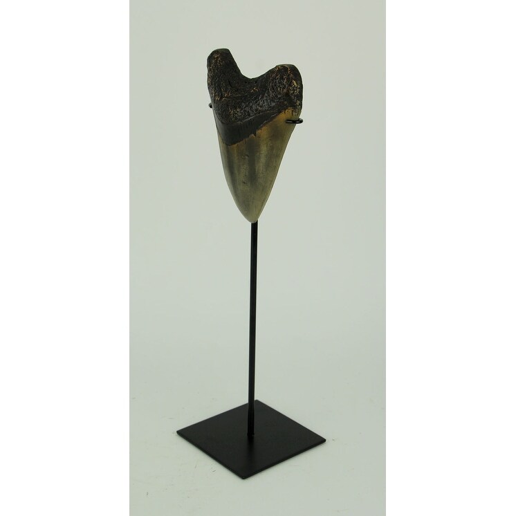 Mounted Giant Megalodon Imitation Shark Tooth Fossil Sculpture   13.75 X 4.5 X 4 inches