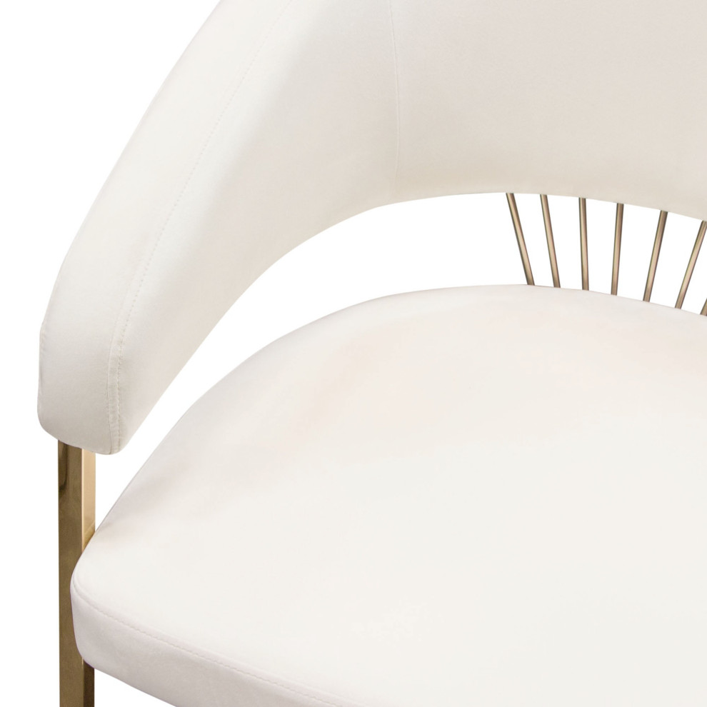 Solstice Dining Chair  Cream Velvet   Contemporary   Dining Chairs   by AMOC  Houzz