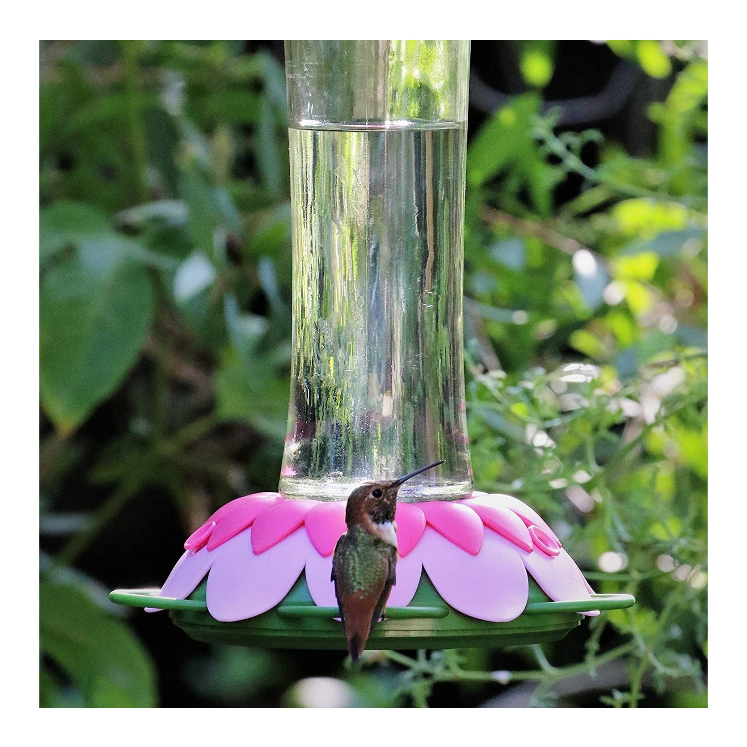 Nature's Way So Real Pink Fuchsia 20 oz Glass Hummingbird Feeder