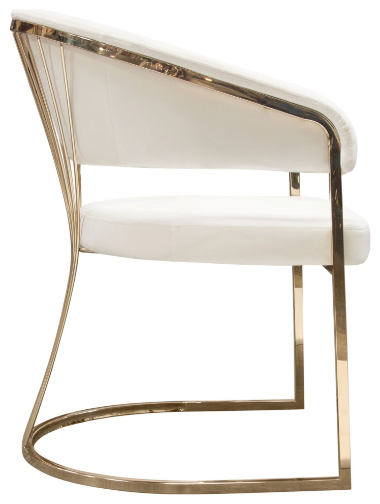 Solstice Dining Chair  Cream Velvet   Contemporary   Dining Chairs   by AMOC  Houzz