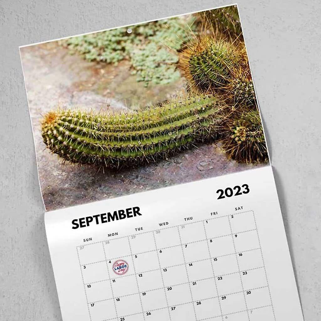 Nature Cock Shots 2023 Calendar Funny Christmas Gift Natural Scenery Calendar