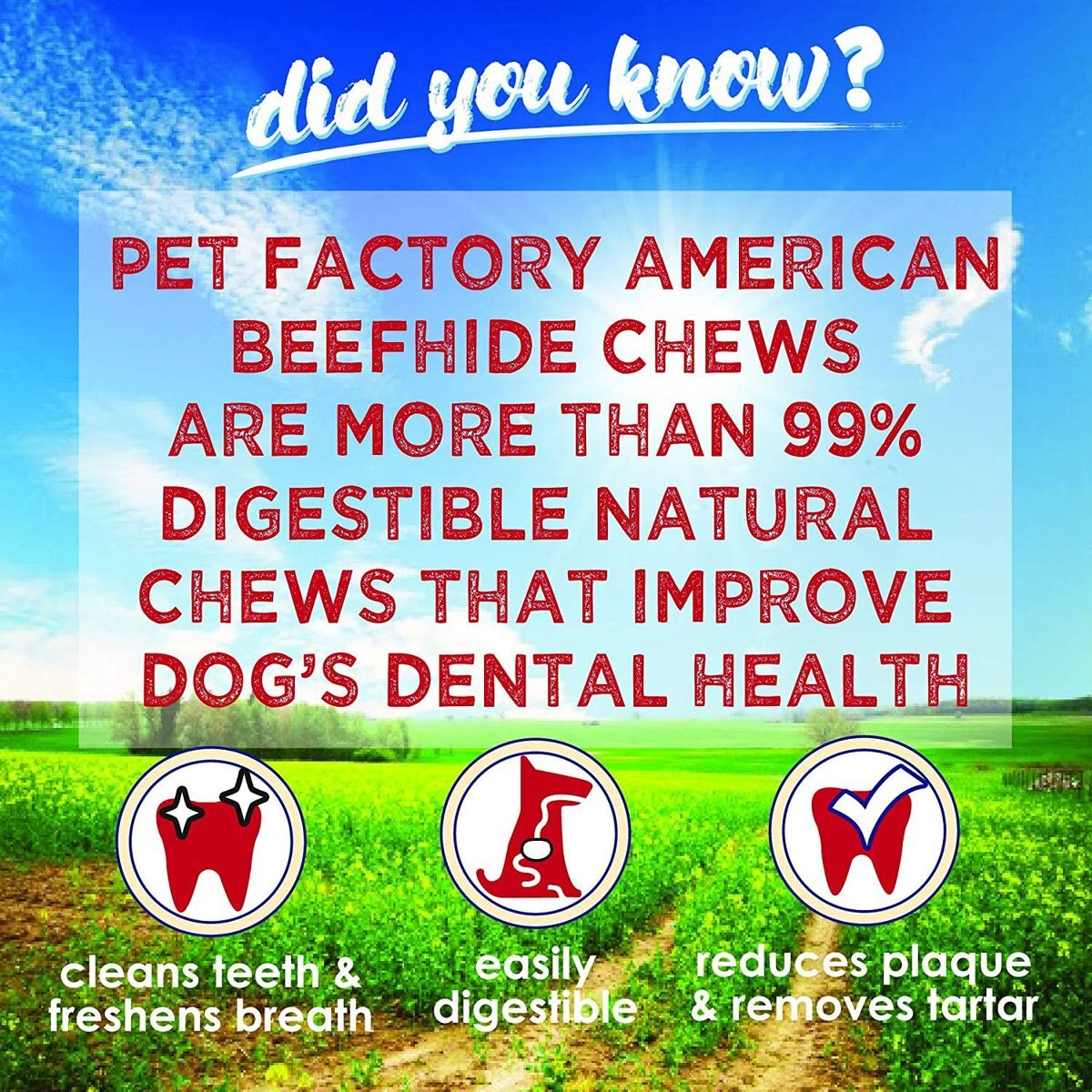 Pet Factory Beefhide Chips Beef Flavored Dog Hard Chews