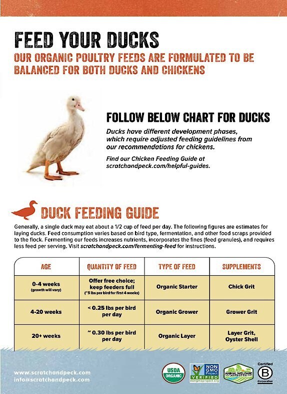 Scratch and Peck Feeds Naturally Free Organic Starter Chicken and Duck Feed