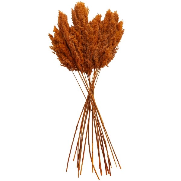 Orange Dried Plant Pampas Home Decor Natural Foliage with Long Stems