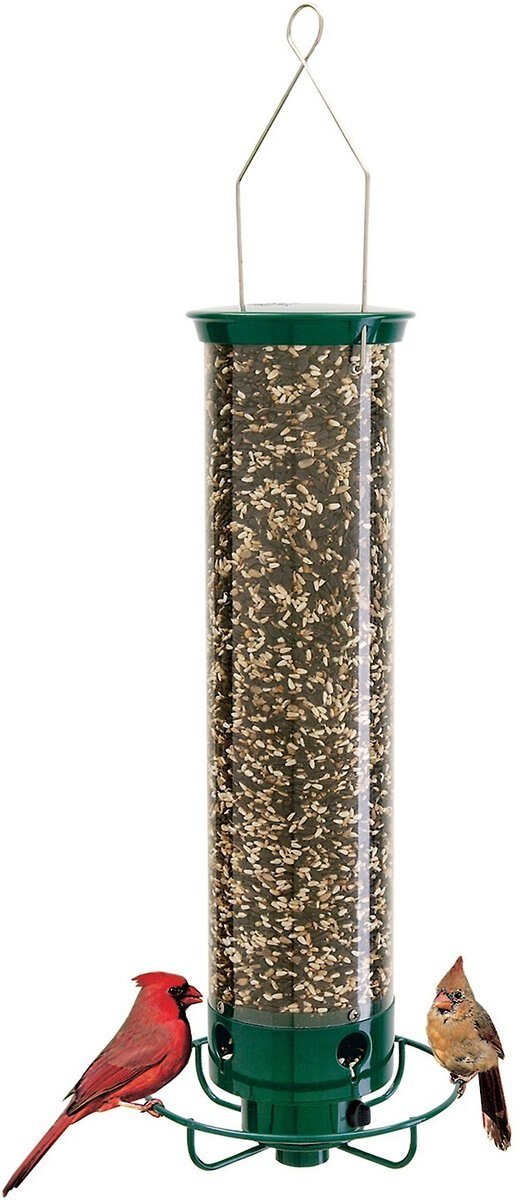 Droll Yankees Yankee Flipper Motorized Bird Feeder， 28.5-in