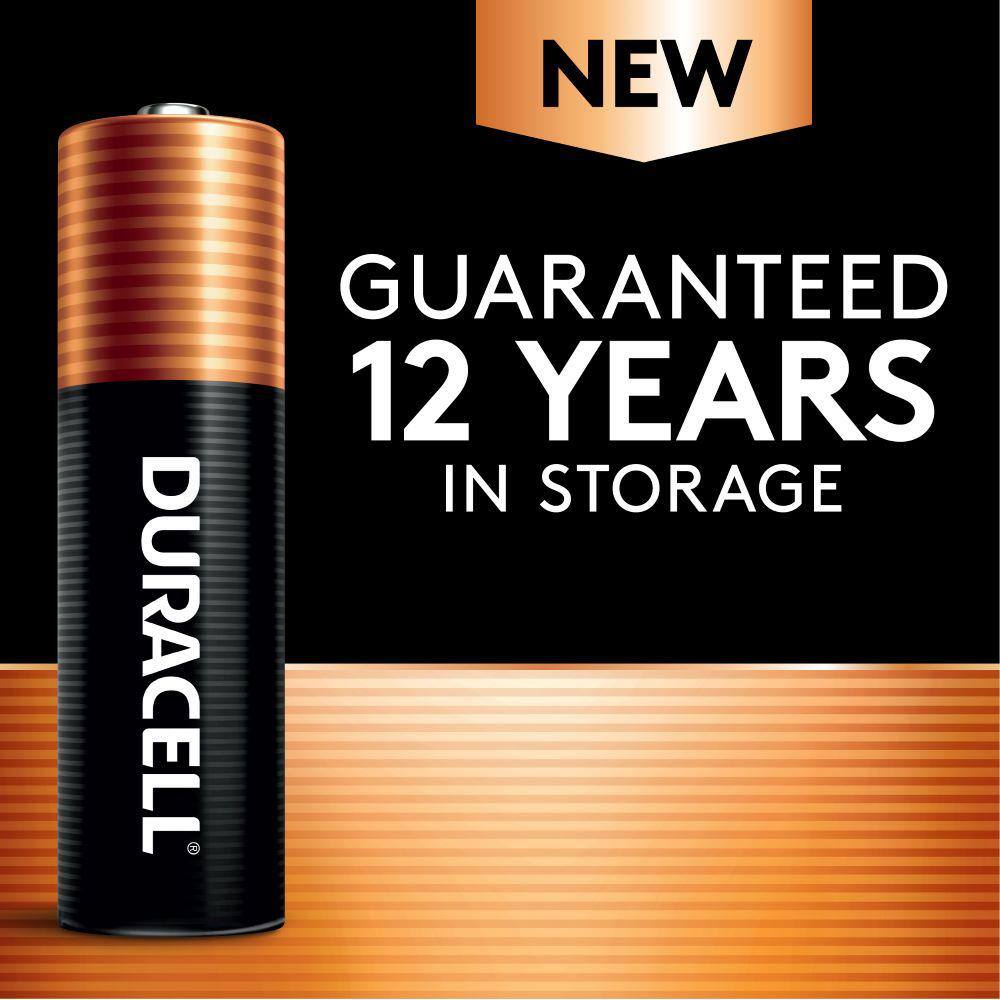 Duracell Coppertop 18-Count AA and 18-Count AAA Alkaline Battery Variety Pack (36 Total Batteries) 004133304019