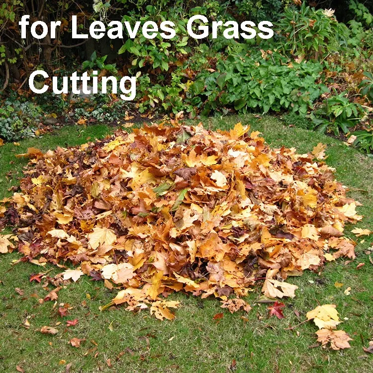 Garden 30T Plastic Lawn Tools Durable Yard Work Leaf Rake Head for Leaves Grass Cutting with Wooden Handles