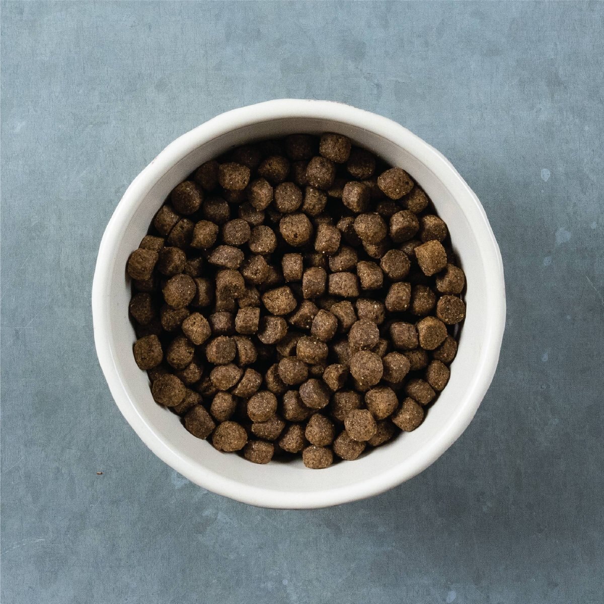 Evolve Classic Deboned Beef， Barley and Brown Rice Recipe Dry Dog Food