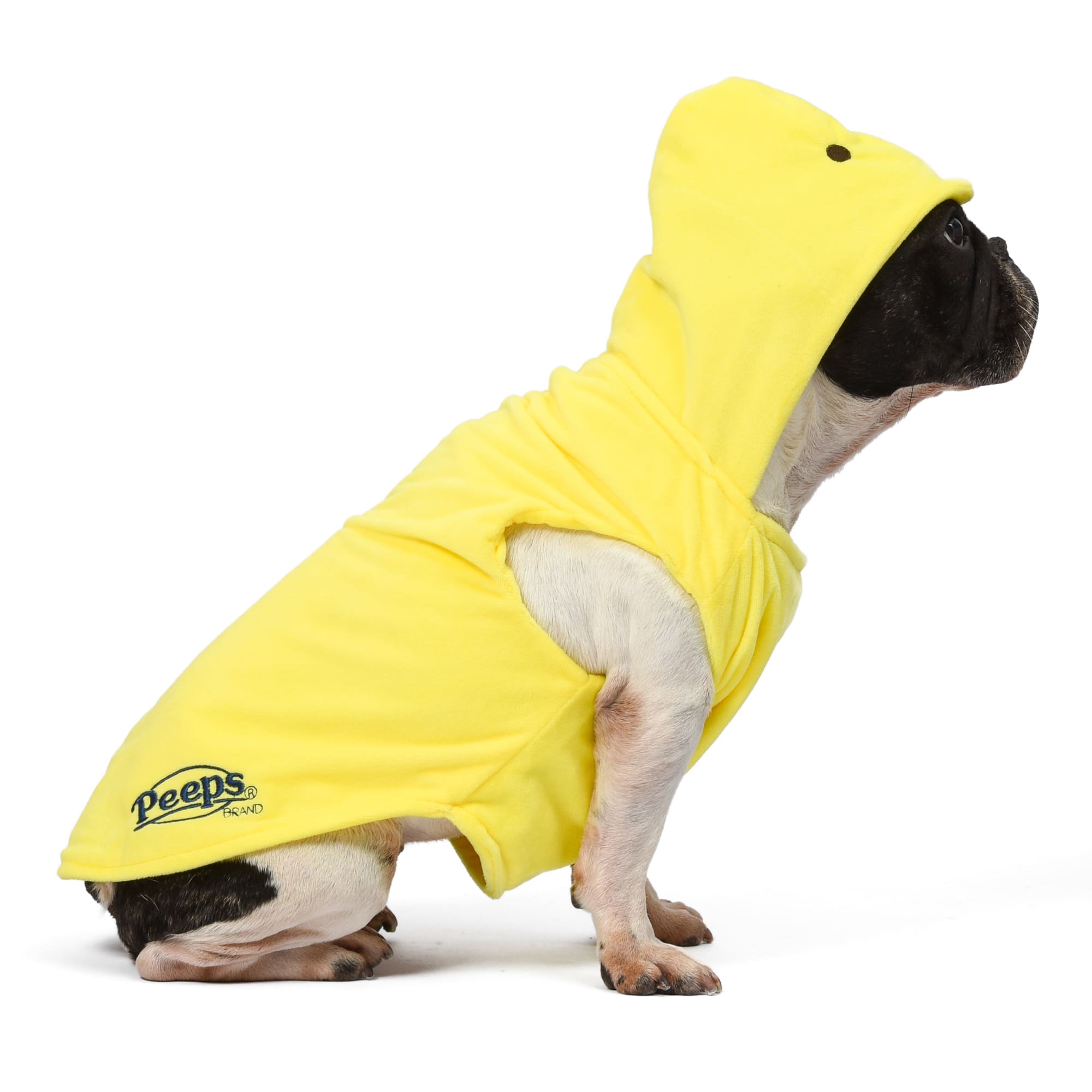 Peeps for Pets Halloween and Easter Chick Costume for Dogs， Small