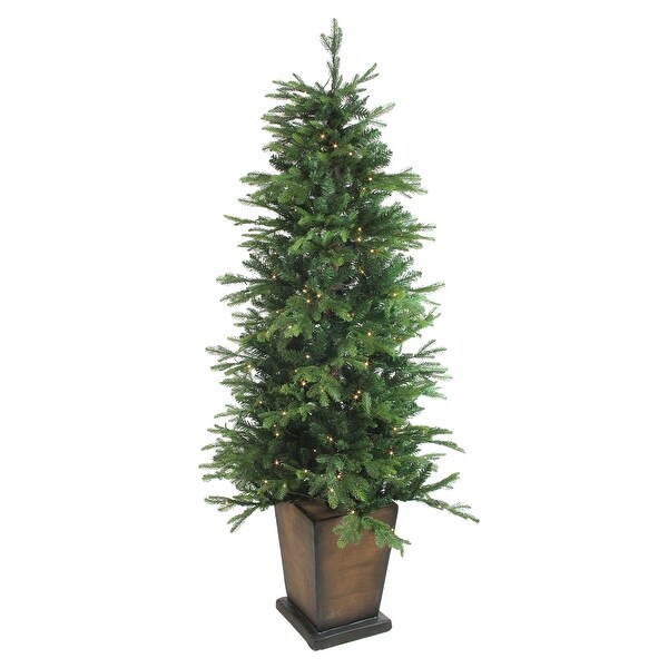 6' PreLit Potted Oregon Noble Fir Slim Artificial Christmas Tree