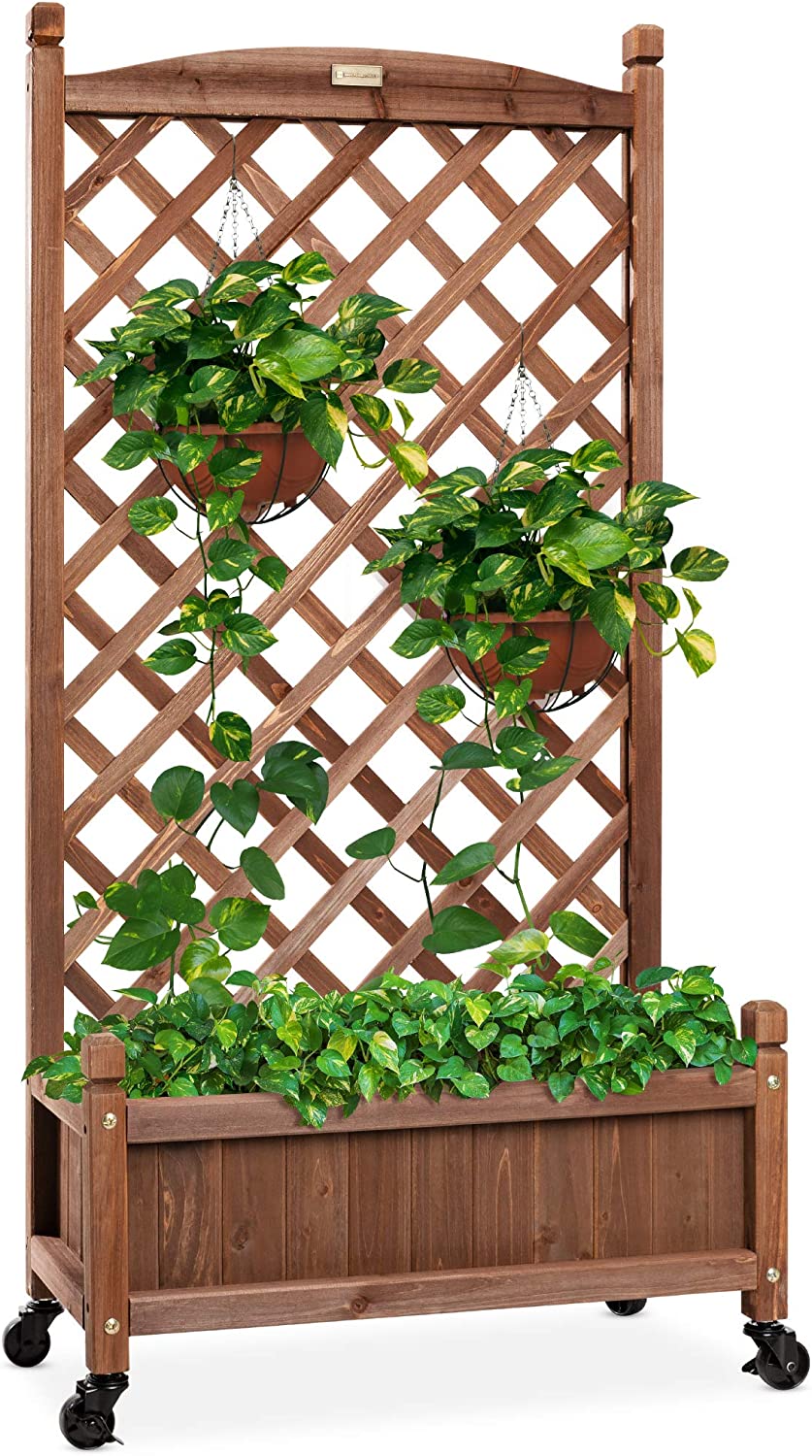 Set of 2 48in Wood Planter Box & Diamond Lattice Trellis, Mobile Outdoor Raised Garden Bed for Climbing Plants w/Drainage Holes, Optional Wheels - Walnut