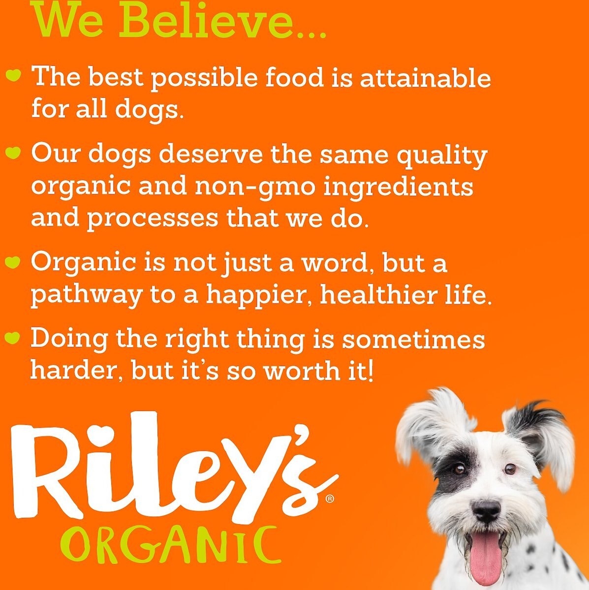 Riley's Organic Tasty Apple Bone Dog Treats， 5-oz bag， Small