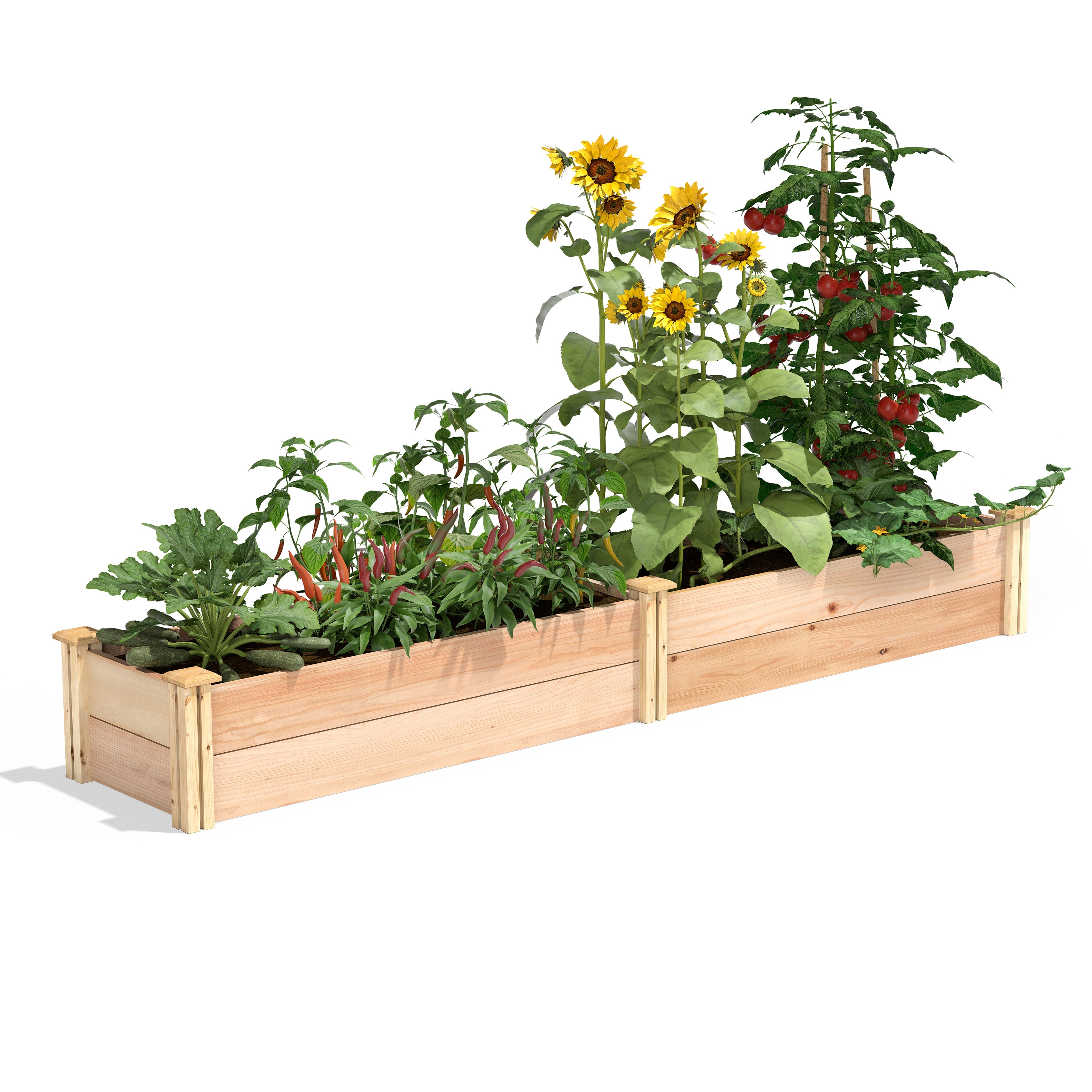 Greenes Fence 16" x 96" x 11" Premium Cedar Raised Garden Bed