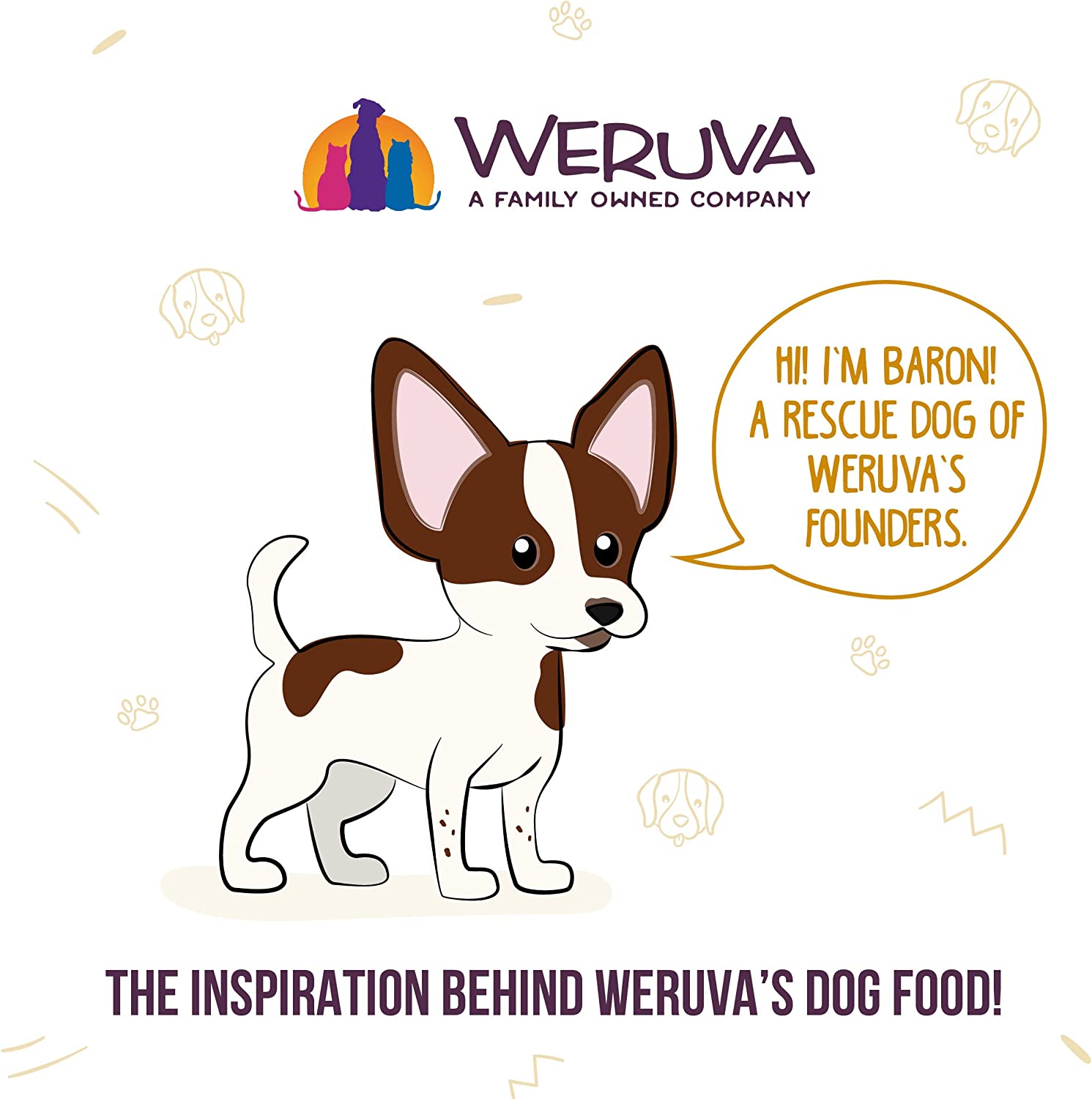 Weruva That's My Jam! With Chicken and Lamb in Gelee Grain-Free Canned Dog Food 14 Ounce (Pack of 12)